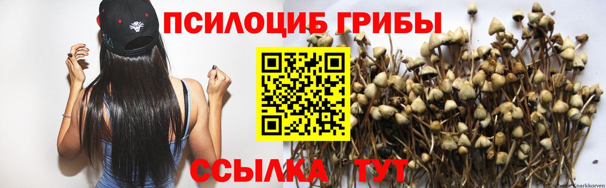 Псилоцибиновые грибы Psilocybe  Галлюциногенные грибы ЛСД  цена наркотик  Вход с VPN  Дивногорск 